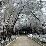 Forest - Middle Of Forest & Near The Villa *