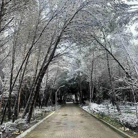 Forest - Middle Of Forest & Near The Βίλα *