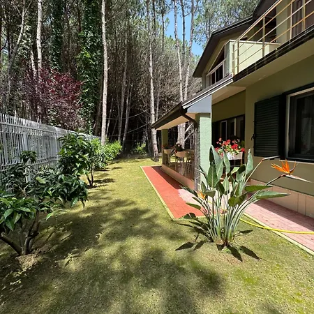Forest - Middle Of Forest & Near The Villa