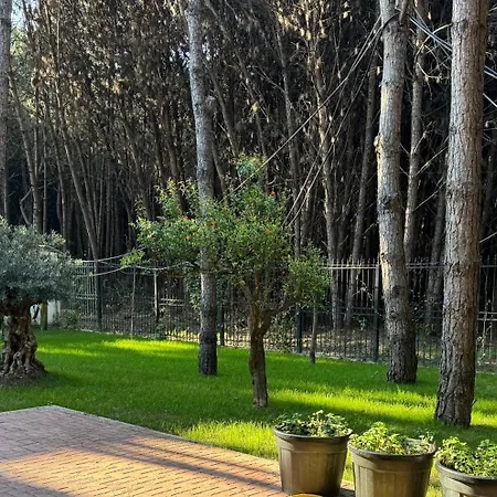 Forest - Middle Of Forest & Near The Βίλα *