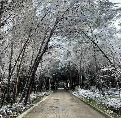 Forest - Middle Of Forest & Near The Villa *