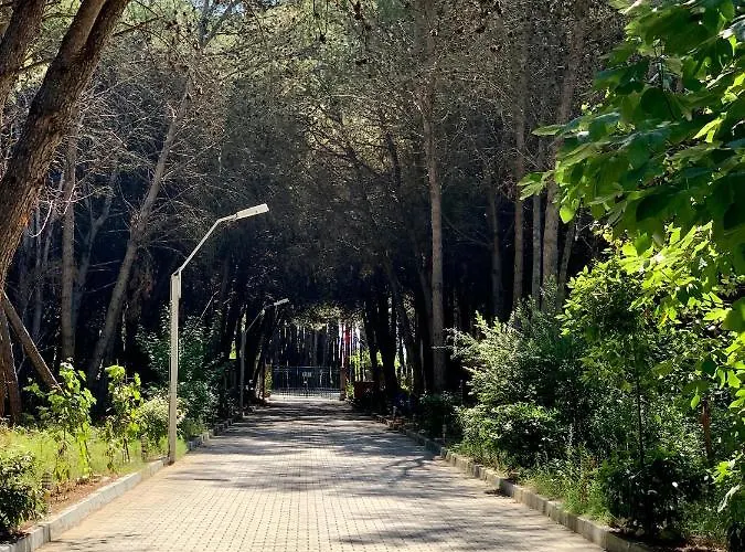 Villa Forest - Middle Of Forest & Near The *