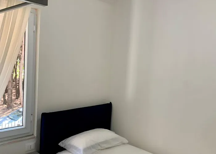 Forest - Middle Of Forest & Near The *