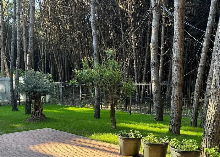 Forest - Middle Of Forest & Near The Villa *